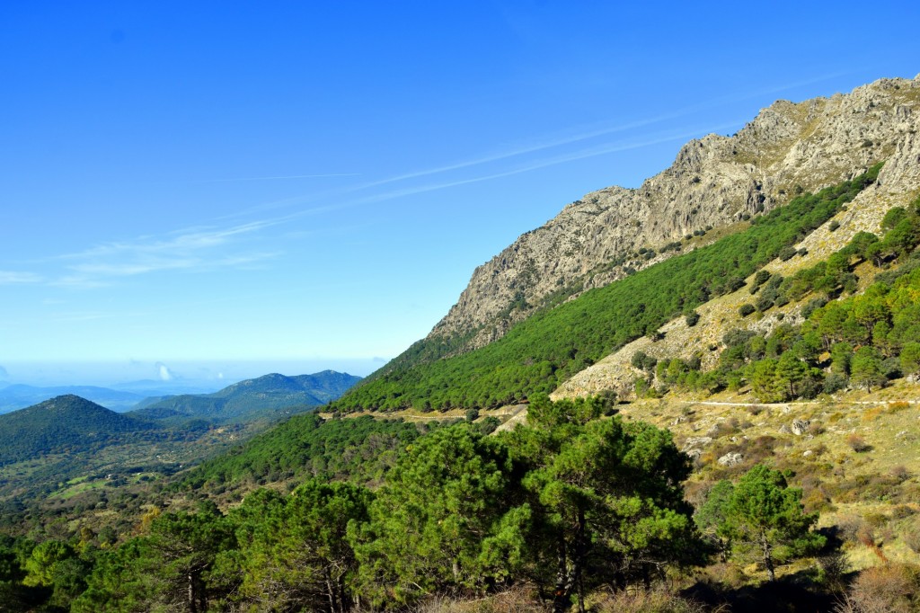 Foto: Puerto del Boyar 1.103 m - Grazalema (Cádiz), España
