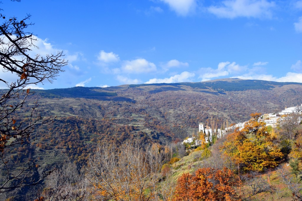 Foto: Su nombre significa Prado de Bueyes - Bubión (Granada), España