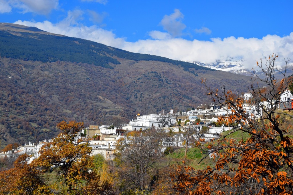 Foto: En la parte noroeste de la Alpujarra Granadina - Bubión (Granada), España