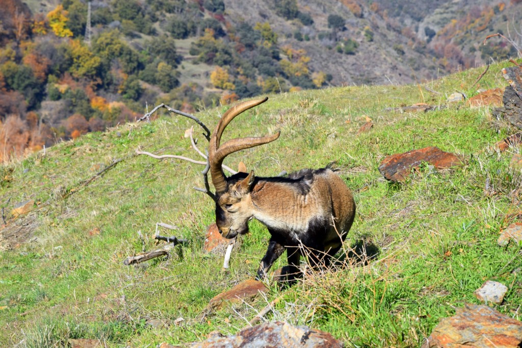 Foto de Bubión (Granada), España
