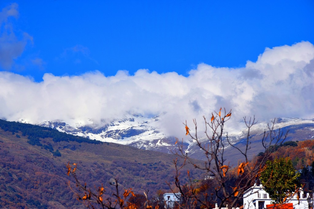 Foto: Atrás el Pico Veleta nevado - Bubión (Granada), España