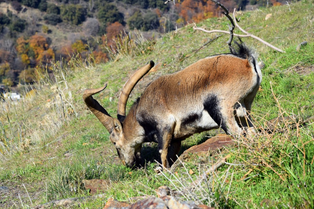 Foto de Bubión (Granada), España