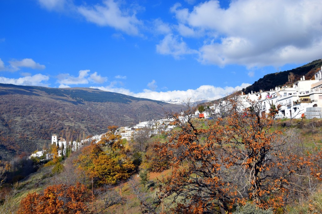 Foto: Es el único destino slow de Andalucía - Bubión (Granada), España