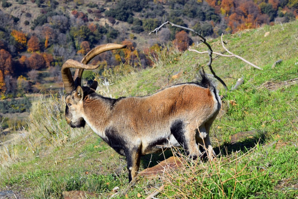 Foto de Bubión (Granada), España
