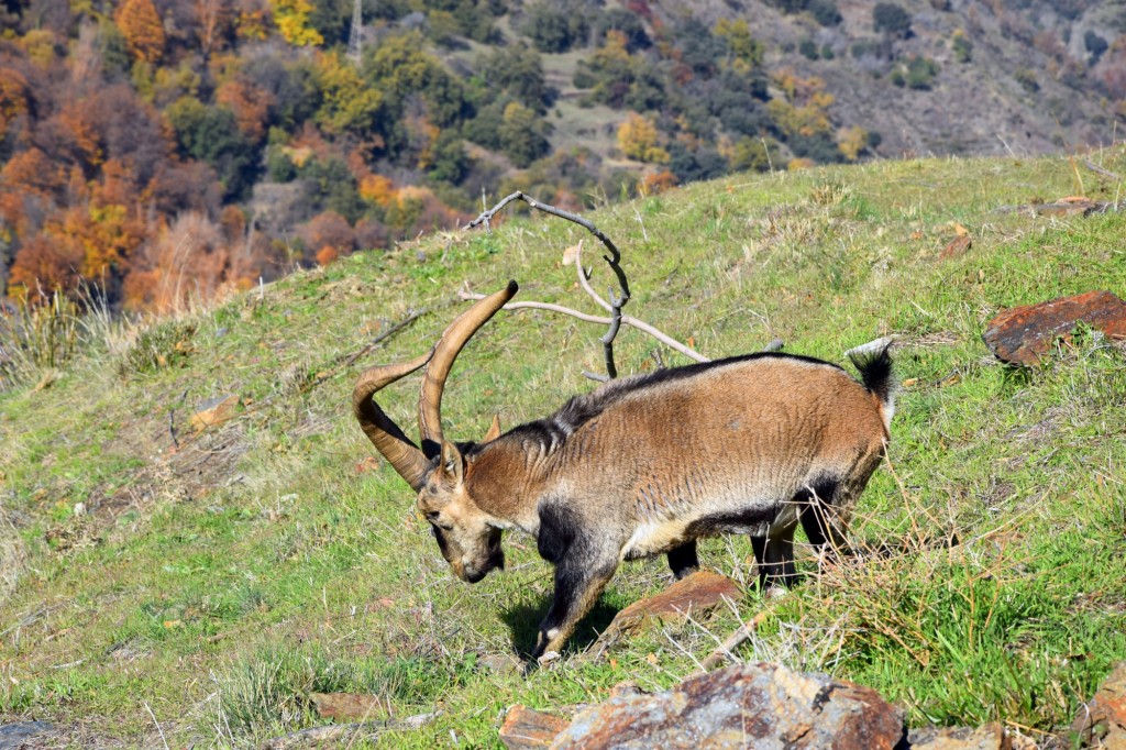 Foto de Bubión (Granada), España