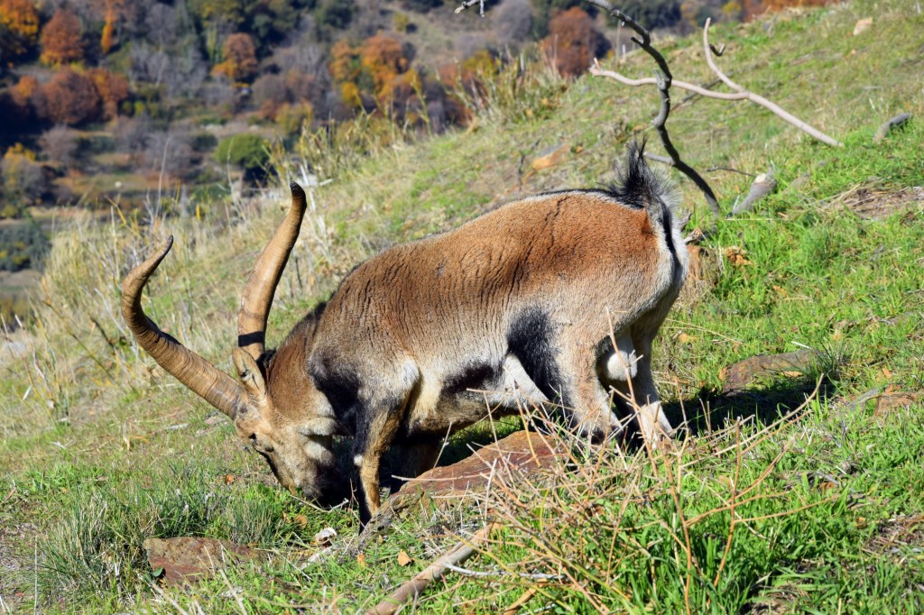 Foto de Bubión (Granada), España