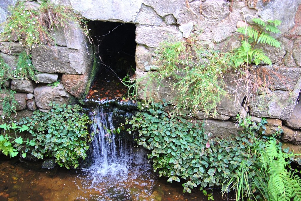 Foto: Fuente - Caldas de Reis (Pontevedra), España