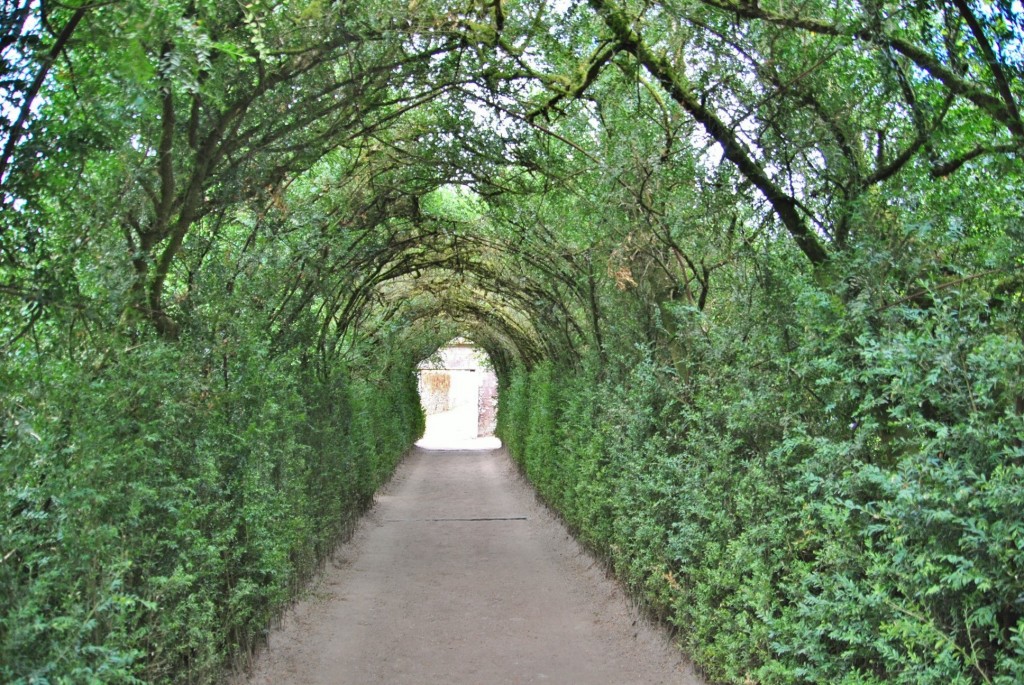 Foto: Pazo de Oca - A Estrada (Pontevedra), España