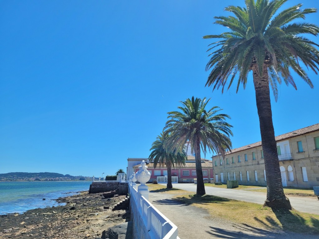 Foto: Paseo - Isla de la Toja (Pontevedra), España