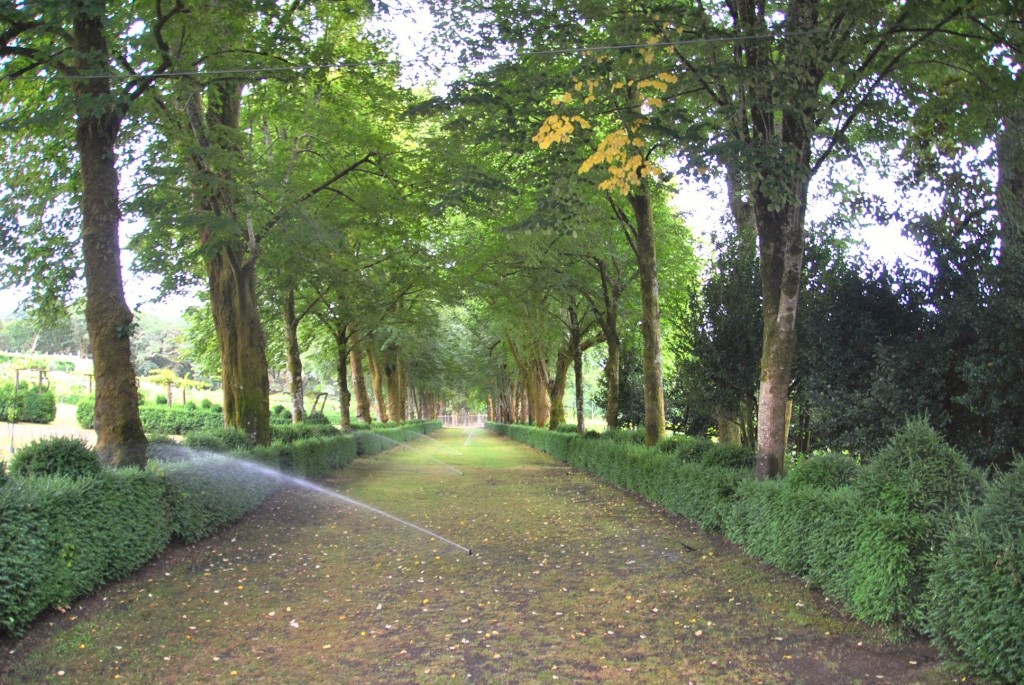 Foto: Pazo de Oca - A Estrada (Pontevedra), España