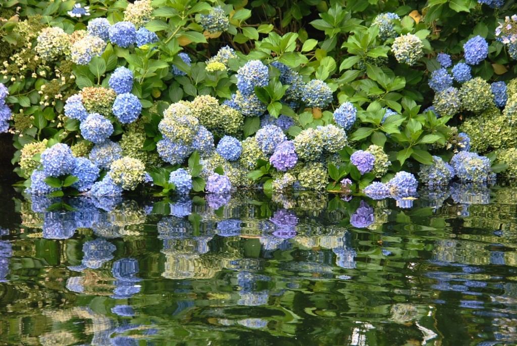 Foto: Pazo de Oca - A Estrada (Pontevedra), España