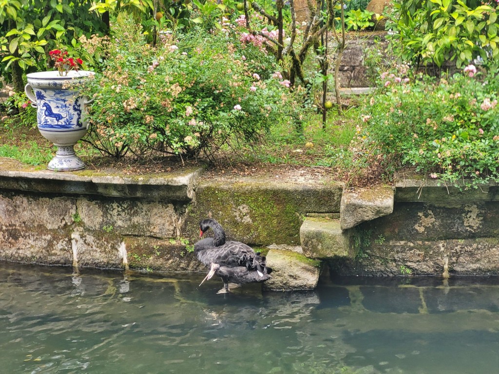 Foto: Pazo de Oca - A Estrada (Pontevedra), España