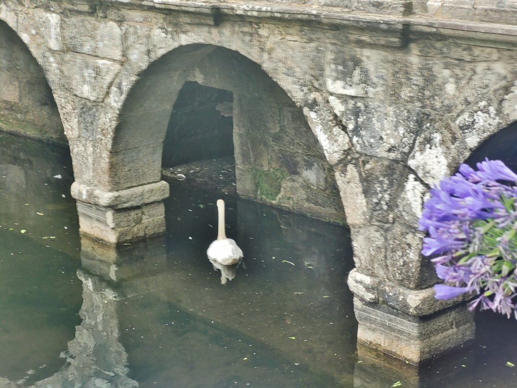 Foto: Pazo de Oca - A Estrada (Pontevedra), España