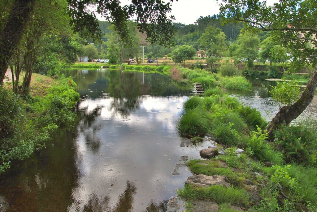 Foto: Río Umia - Caldas de Reis (Pontevedra), España