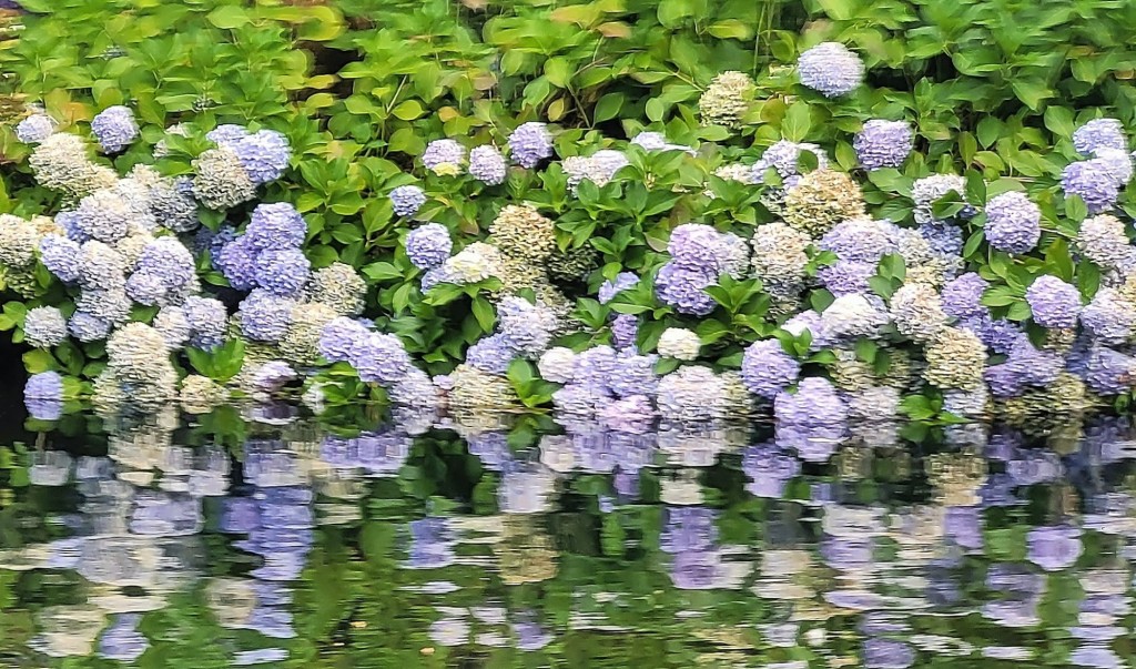 Foto: Pazo de Oca - A Estrada (Pontevedra), España