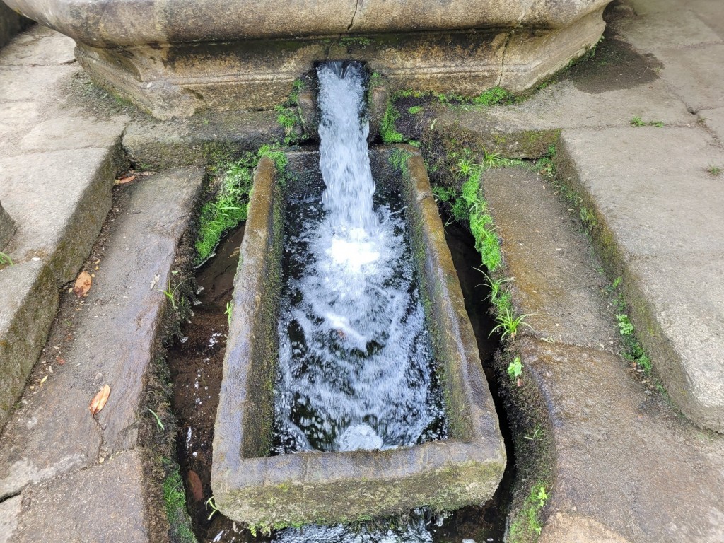 Foto: Pazo de Oca - A Estrada (Pontevedra), España