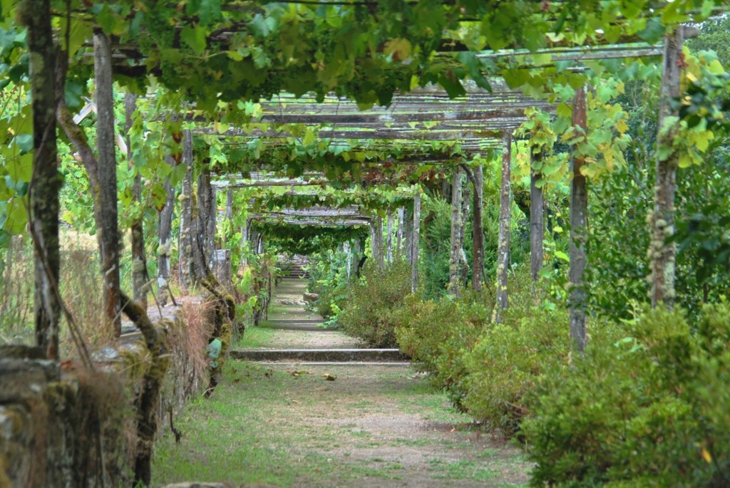 Foto: Pazo de Oca - A Estrada (Pontevedra), España