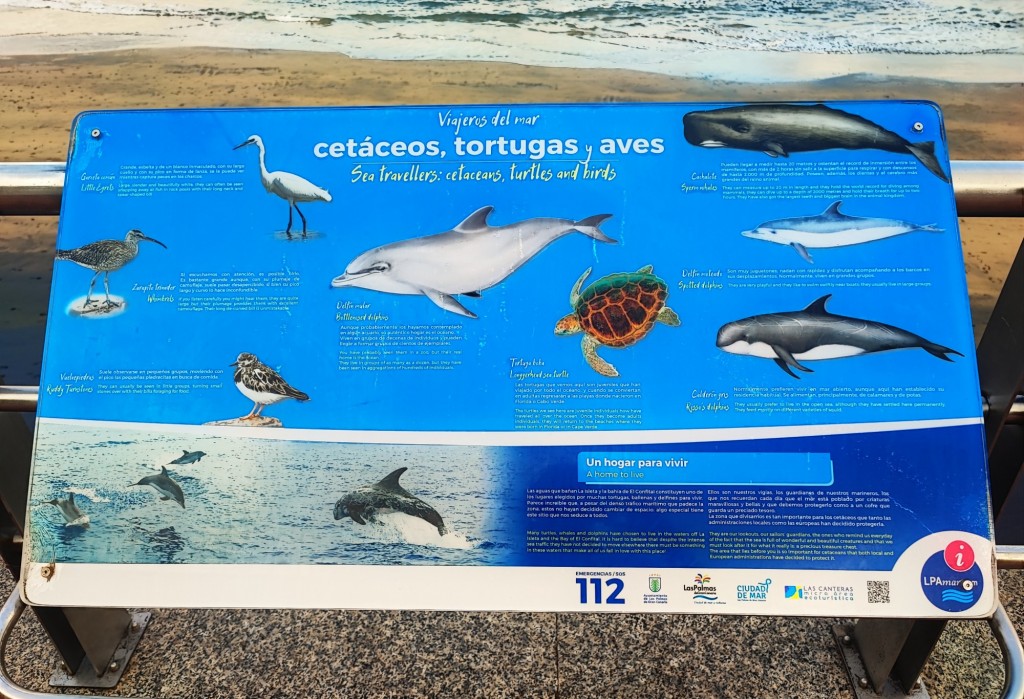 Foto: Playa de Las Canteras - Las Palmas de Gran Canaria (Las Palmas), España