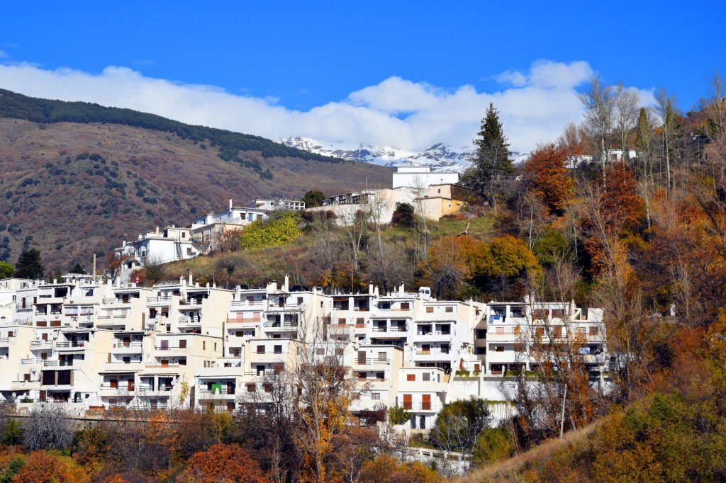 Foto: Barrio Perchel - Capileira (Granada), España