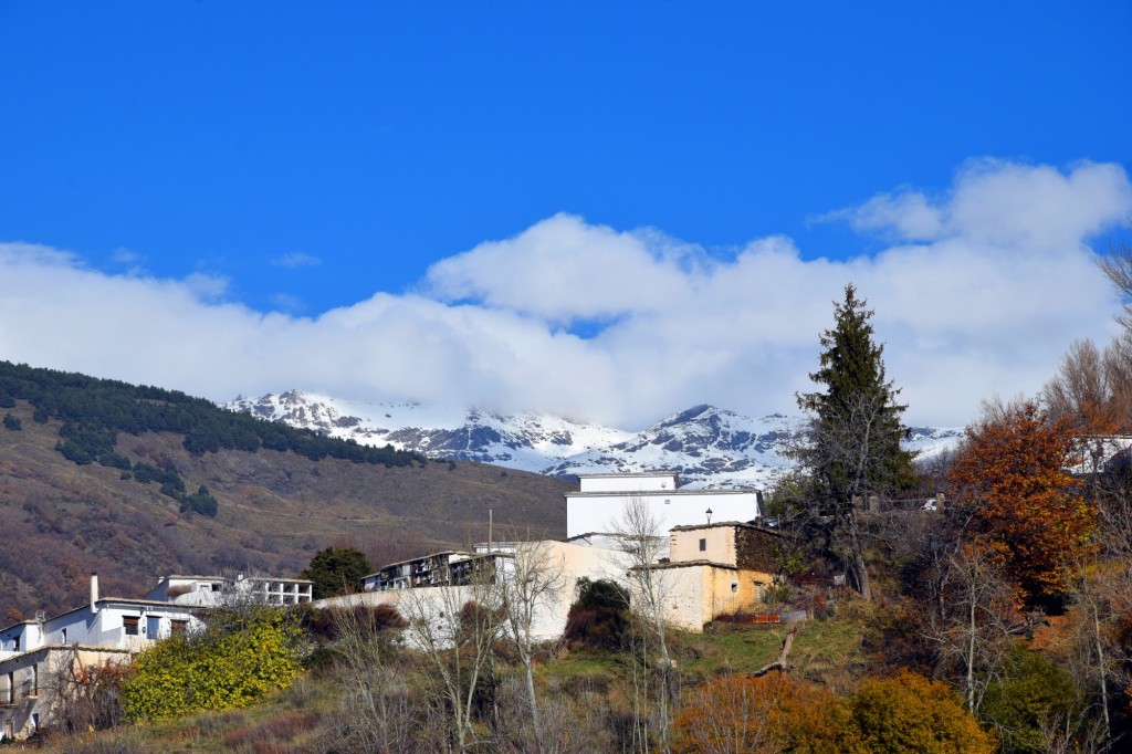 Foto: Sierra Nevada al fondo - Capileira (Granada), España