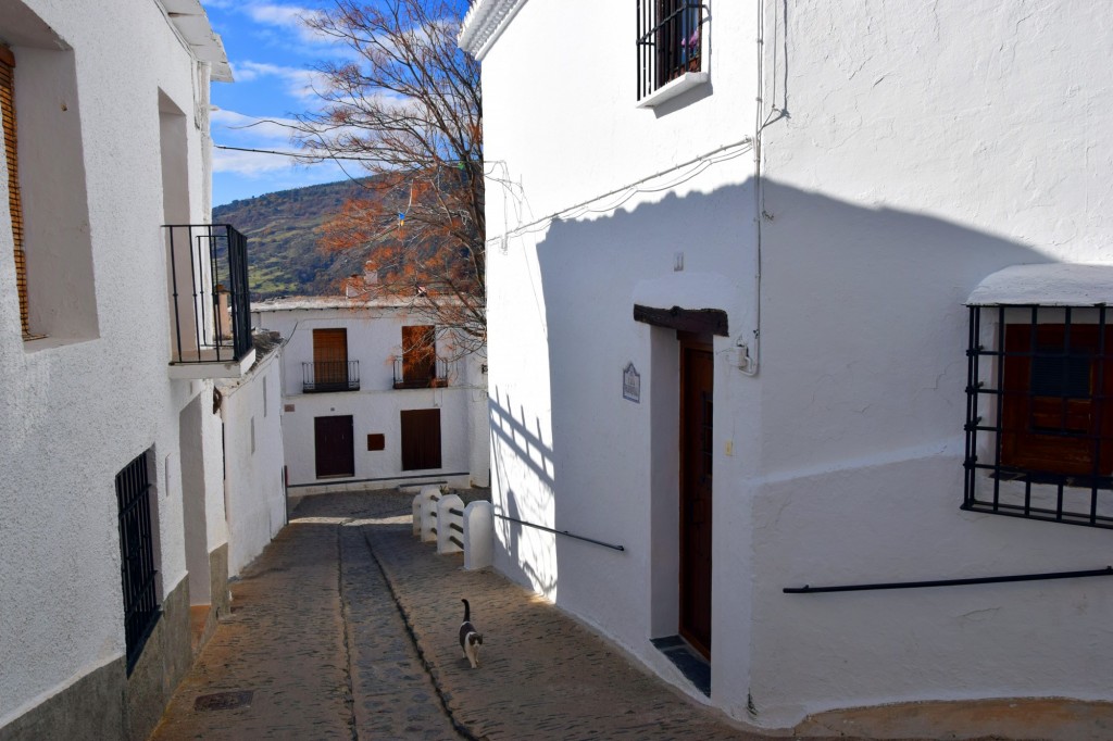 Foto: Casa Parroquial - Capileira (Granada), España