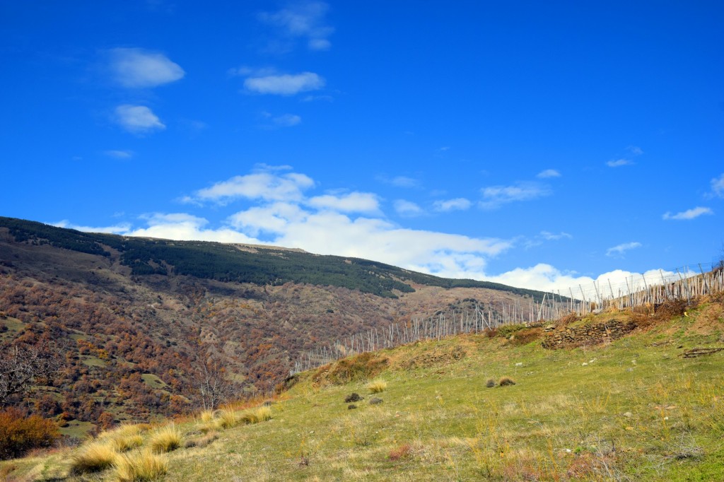 Foto de Capileira (Granada), España