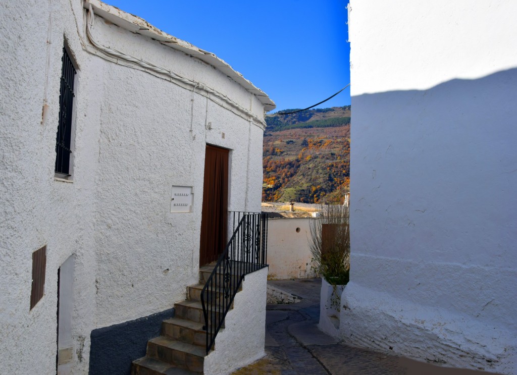 Foto: Bajada a la Fuente del Cerezo - Capileira (Granada), España