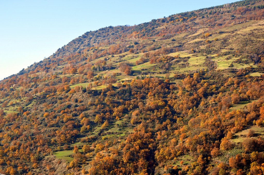 Foto: Barranco de las Rosas - Capileira (Granada), España