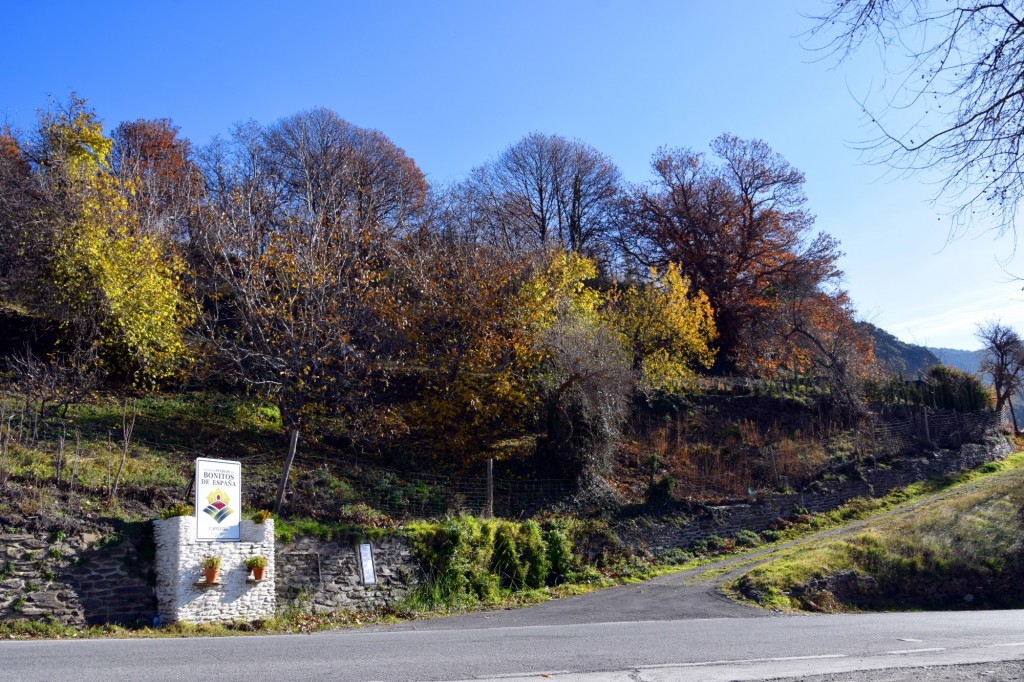 Foto: Fuente - Capileira (Granada), España