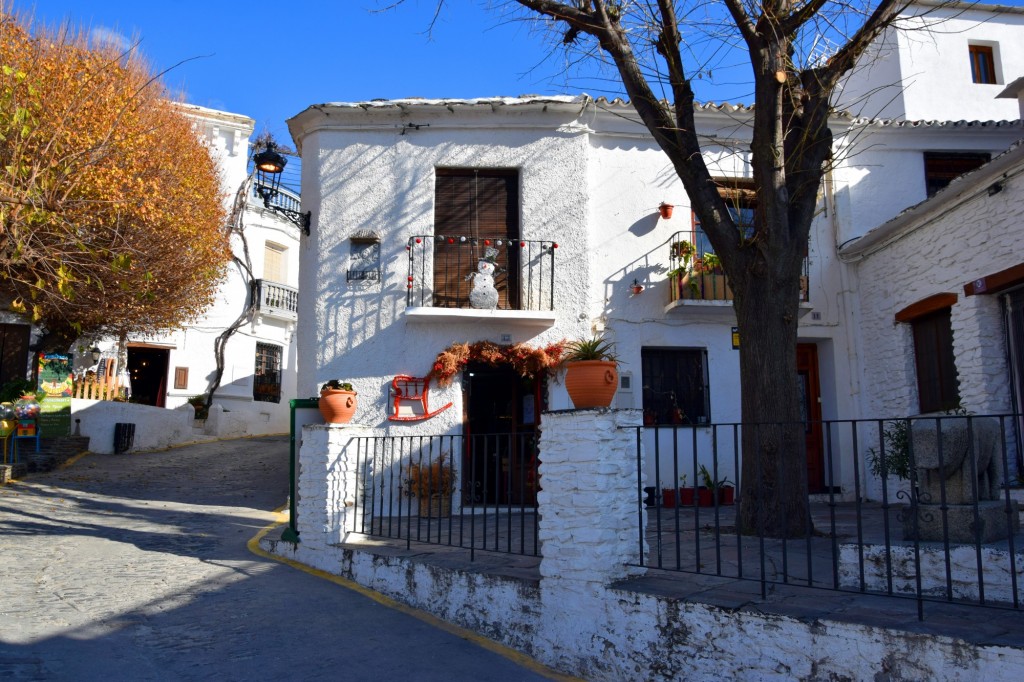 Foto: Réplica del Toro de Gisando - Capileira (Granada), España
