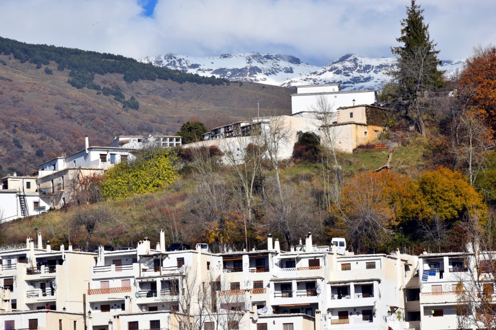 Foto: Zona del Perchel - Capileira (Granada), España