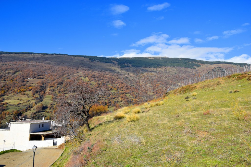 Foto de Capileira (Granada), España