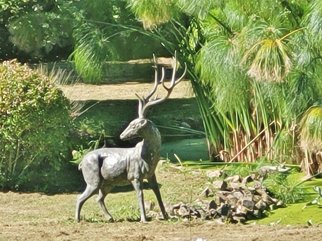 Foto: Pazo de Rubianes - Villagarcía de Arousa (Pontevedra), España