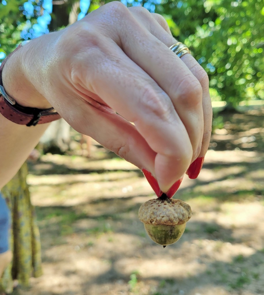 Foto: Pazo de Rubianes - Villagarcía de Arousa (Pontevedra), España