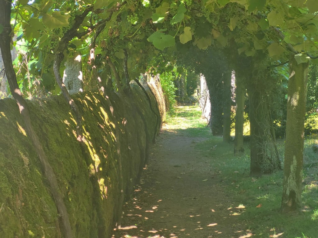 Foto: Pazo de Rubianes - Villagarcía de Arousa (Pontevedra), España