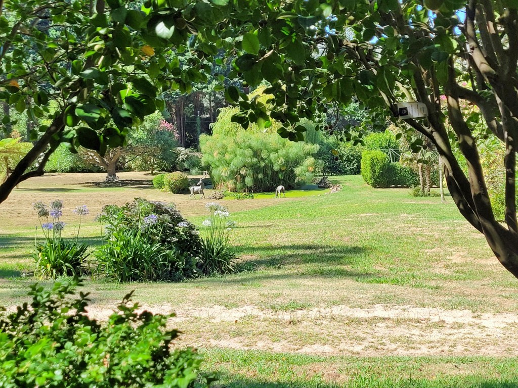 Foto: Pazo de Rubianes - Villagarcía de Arousa (Pontevedra), España