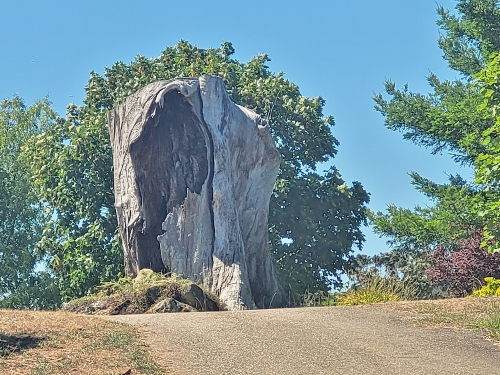 Foto: Pazo de Rubianes - Villagarcía de Arousa (Pontevedra), España