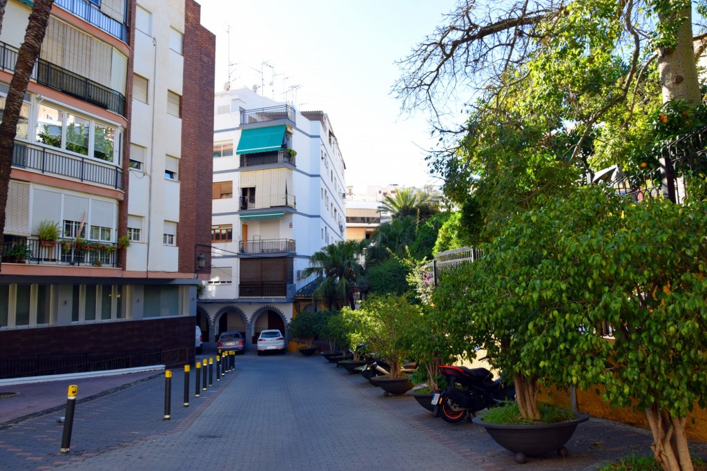 Foto: Calle Andrés Müller - Almuñecar (Granada), España