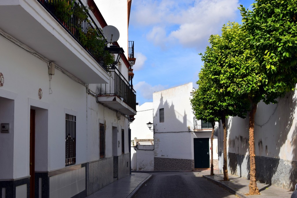 Foto: Calle Antigua de la Cuesta de la Iglesia - Los Palacios (Sevilla), España