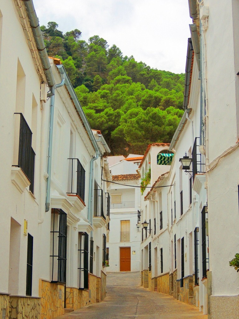 Foto: Calle Arroyo - El Gastor (Cádiz), España