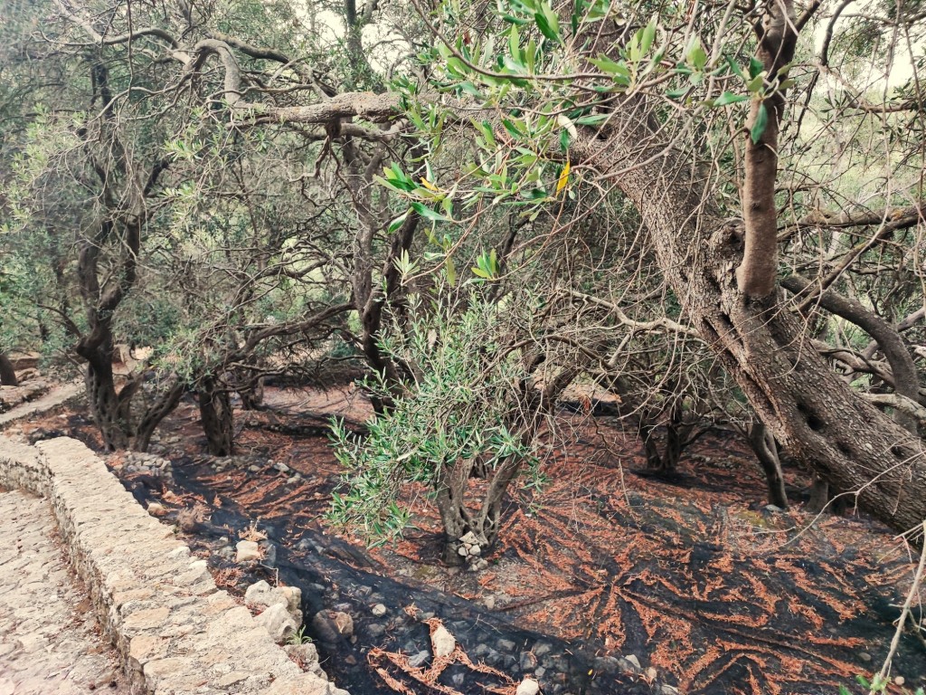 Foto: Angelokastro - Αγγελόκαστρο (Ionian Islands), Grecia