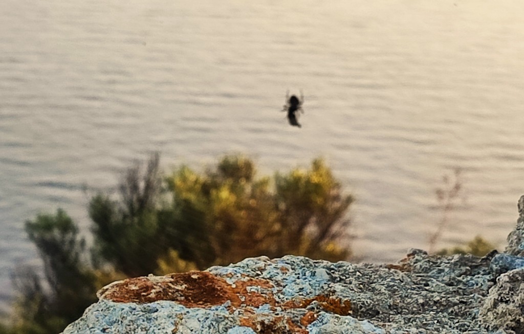 Foto: Angelokastro - Αγγελόκαστρο (Ionian Islands), Grecia