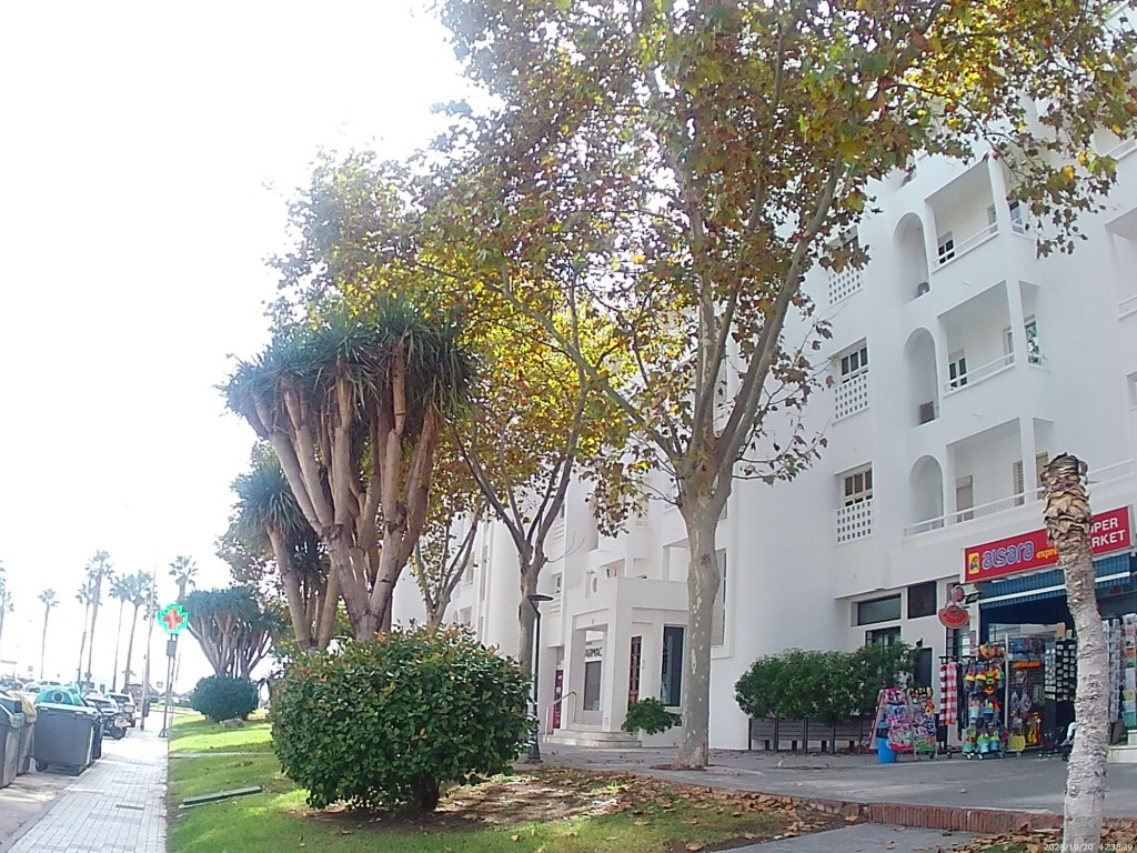 Foto de Torremolinos (Málaga), España