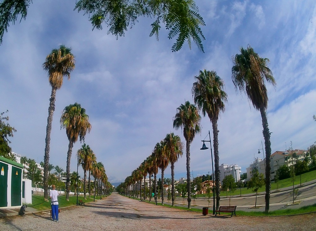 Foto: Avenida Salvador Dali - Torremolinos (Málaga), España