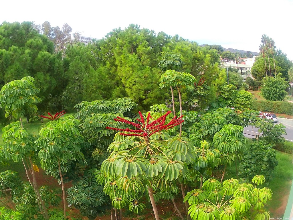 Foto: The Big Garden - Torremolinos (Málaga), España