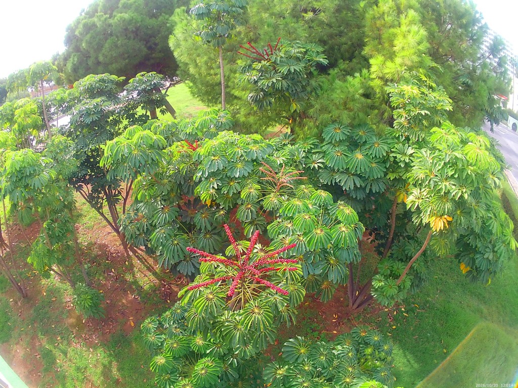Foto: The Big Garden - Torremolinos (Málaga), España