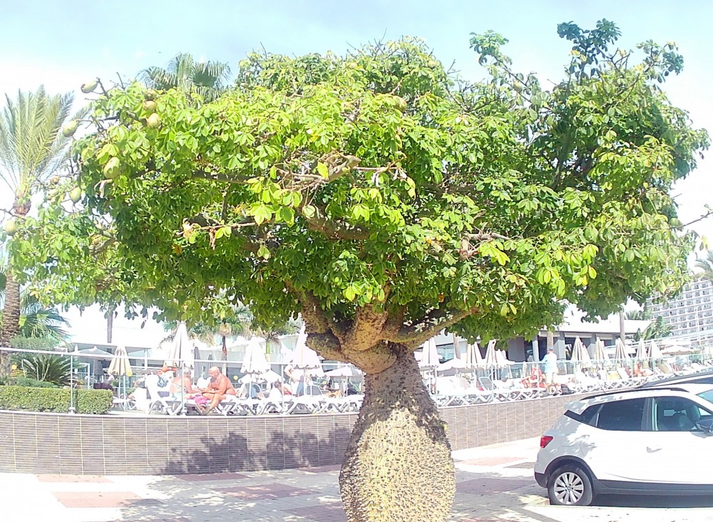 Foto de Torremolinos (Málaga), España