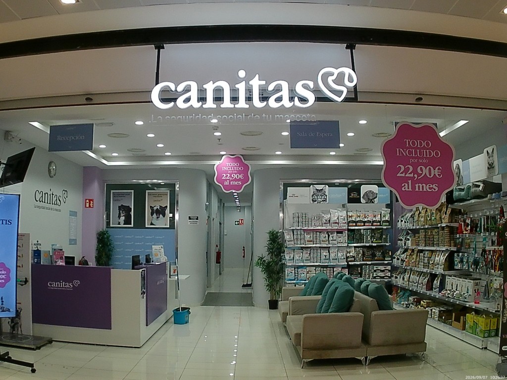 Foto: Canitas - Jerez de la Frontera (Cádiz), España