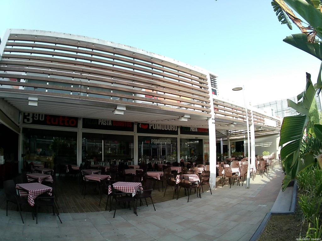 Foto: Pomodoro - Jerez de la Frontera (Cádiz), España