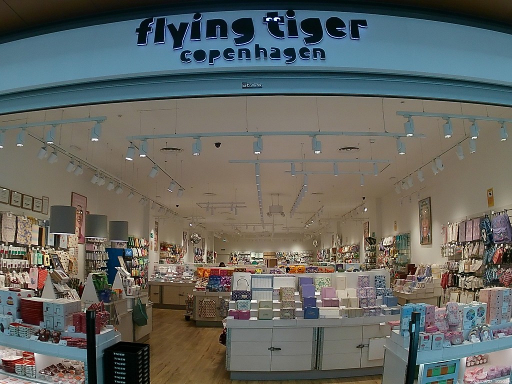 Foto: Flying Tiger - Jerez de la Frontera (Cádiz), España